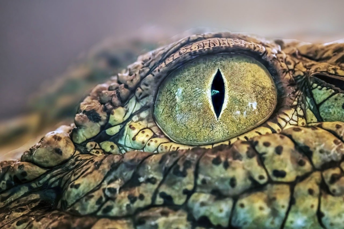 Detalhe de uma pessoa sentindo espasmos musculares ou tremores nos olhos por deficiência nutricional.