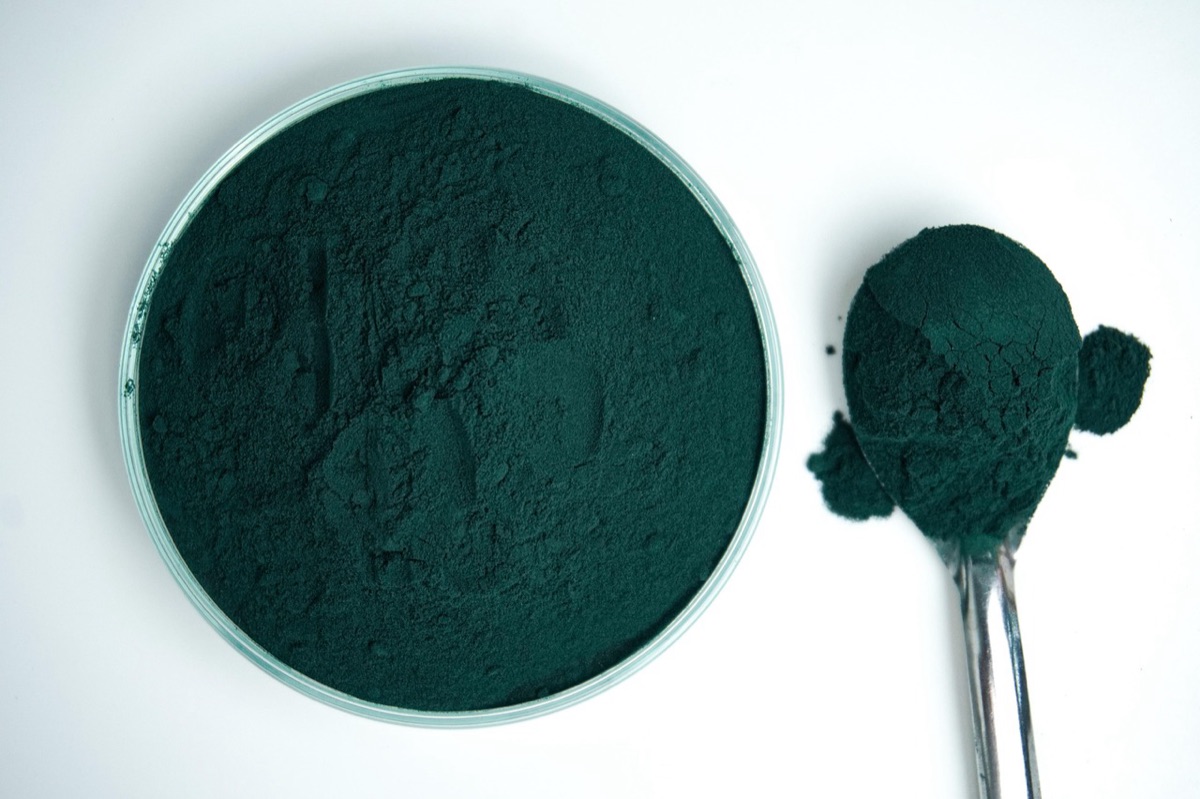 powderes de proteina vegetal