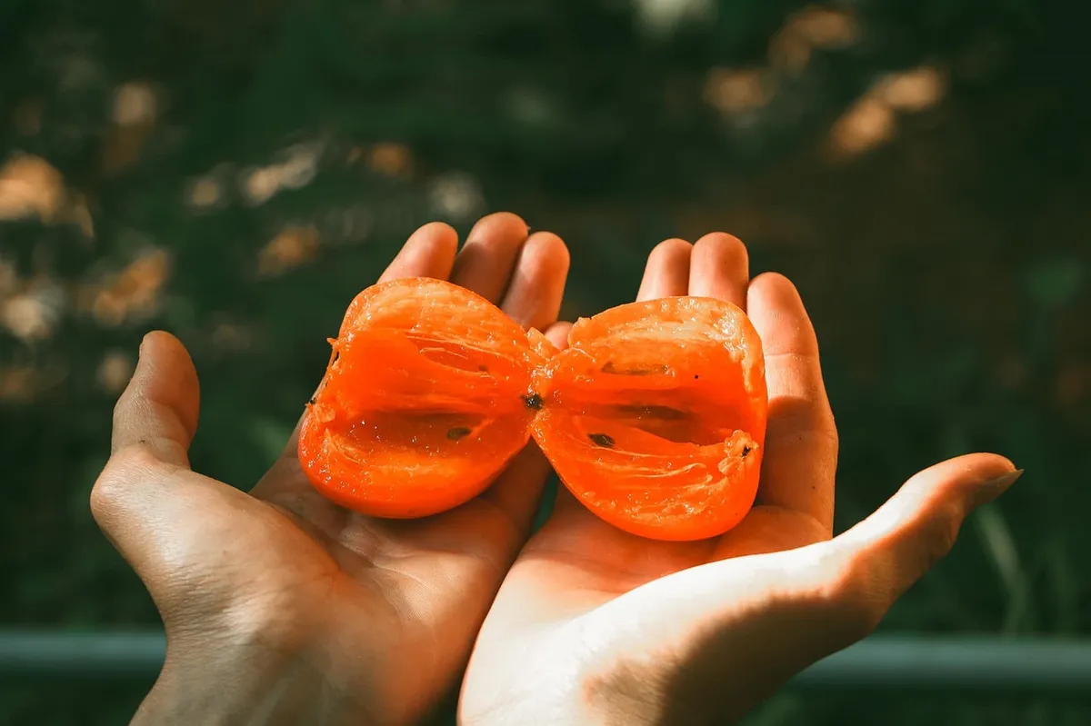 fruit, persimmon, harvest, healthy, nutrient, persimmon, persimmon, persimmon, persimmon, persimmon