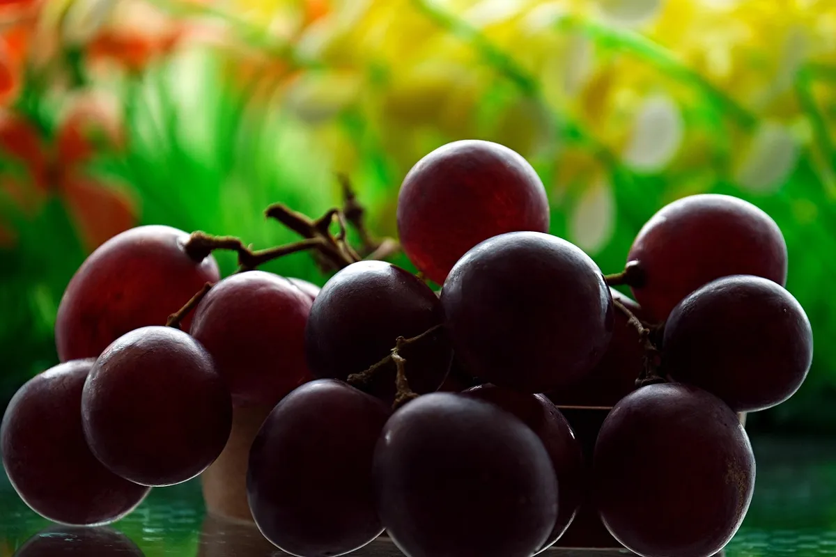 fruit, grape, organic, food, sweet, vitamin, nutrient
