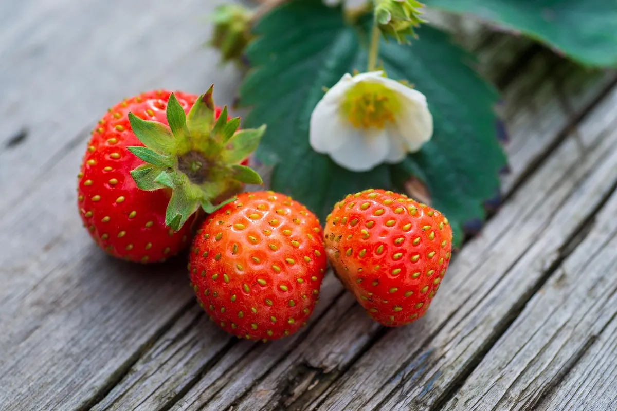 fruit, strawberry, organic, sweet, nutrient, vitamin, berry