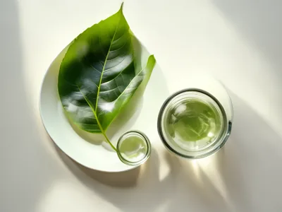 Quel est le rôle de la vitamine D pour ma santé ?